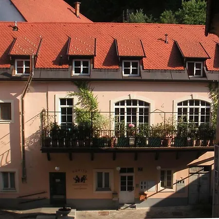 Petra Varl Ljubljana